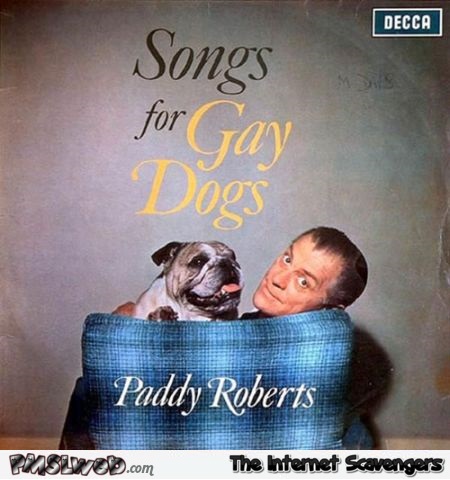 Songs for gay dogs WTF album cover @PMSLweb.com