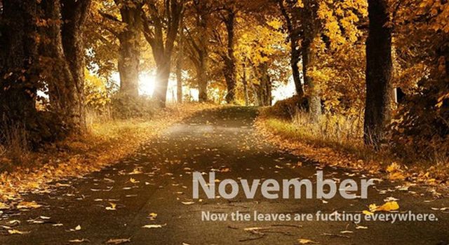 November humor @PMSLweb.com