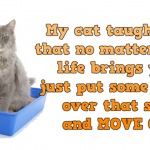My cat taught me funny quote @PMSLweb.com