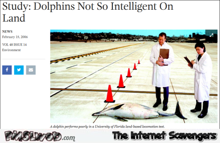 Funny study dolphins not so intelligent on the land @PMSLweb.com