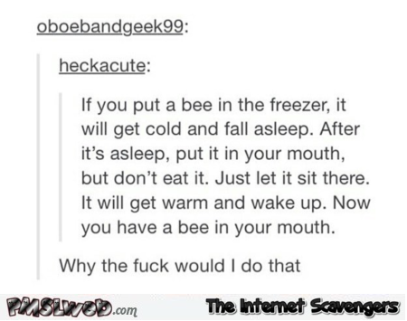 If you put a bee in the freezer funny post @PMSLweb.com