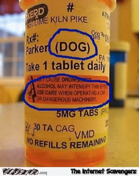 Funny dog medicine fail @PMSLweb.com