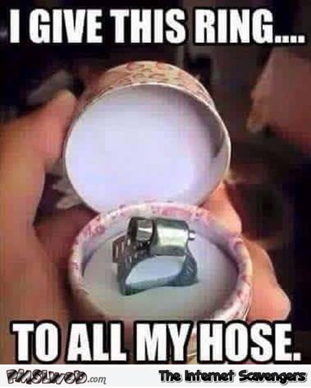 I give this ring to all my hose meme 