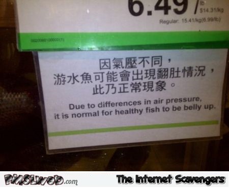 Healthy fish with belly up sign fail