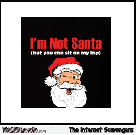 I’m not Santa but you can sit on my lap – Hilarious Christmas pictures @PMSLweb.com