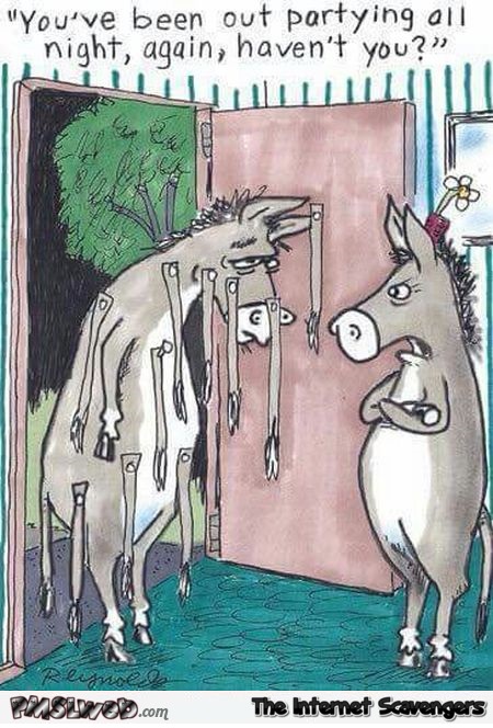 Donkey has been partying all night funny cartoon @PMSLweb.com