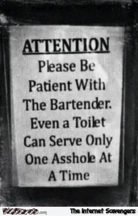 Sarcastic bartender sign