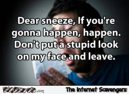Dear sneeze humor