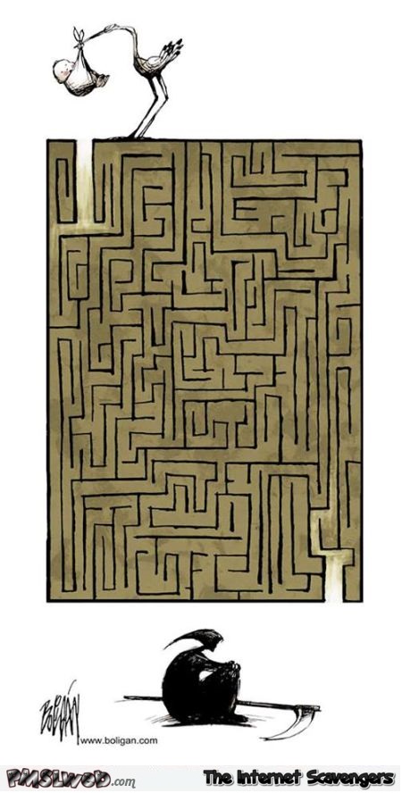 Funny life puzzle cartoon @PMSLweb.com
