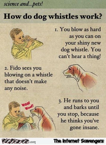 How do dog whistles work funny cartoon @PMSLweb.com