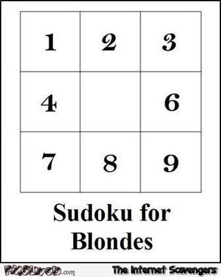 Sudoku for blondes @PMSLweb.com