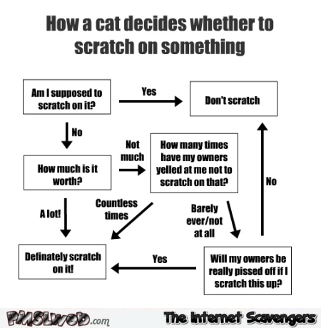 How a cat decides whether to scratch on something funny graph @PMSLweb.com
