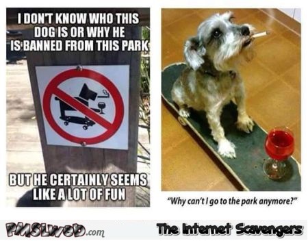 Funny dog banned from park humor @PMSLweb.com