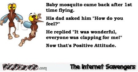 Mosquito positive attitude joke