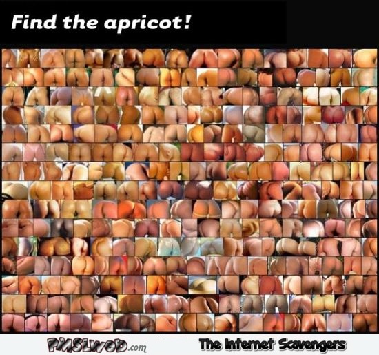 Find the apricot naughty game