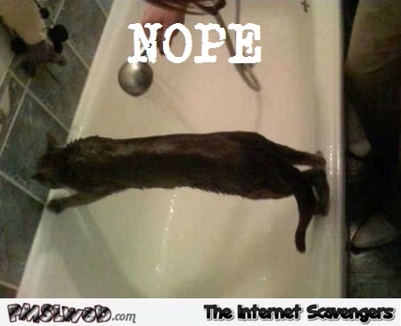 Funny no bath for kitty – Hump day fun @PMSLweb.com