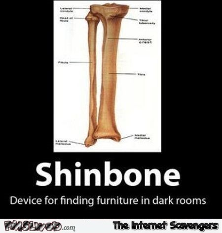 Funny shinbone definition @PMSLweb.com