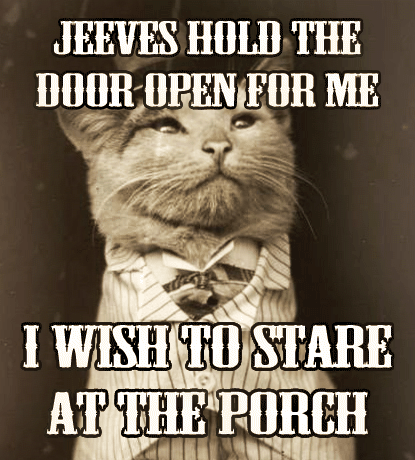 Hold the door open for me funny cat meme @PMSLweb.com