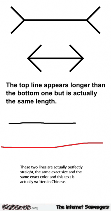 Funny optical illusion logic