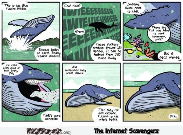 Whales are dicks funny cartoon @PMSLweb.com