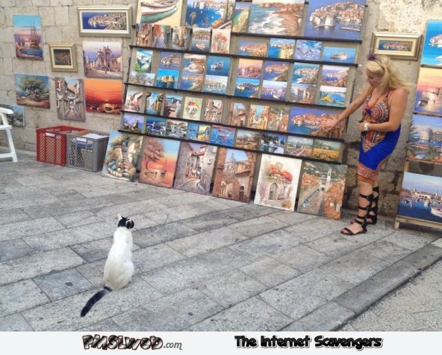 Funny cat and art @PMSLweb.com