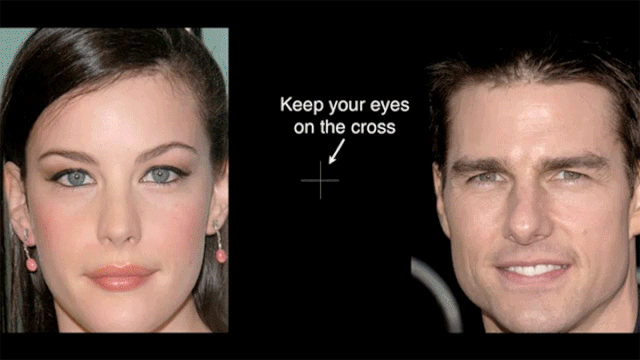 Keep your eyes on the cross funny optical illusion