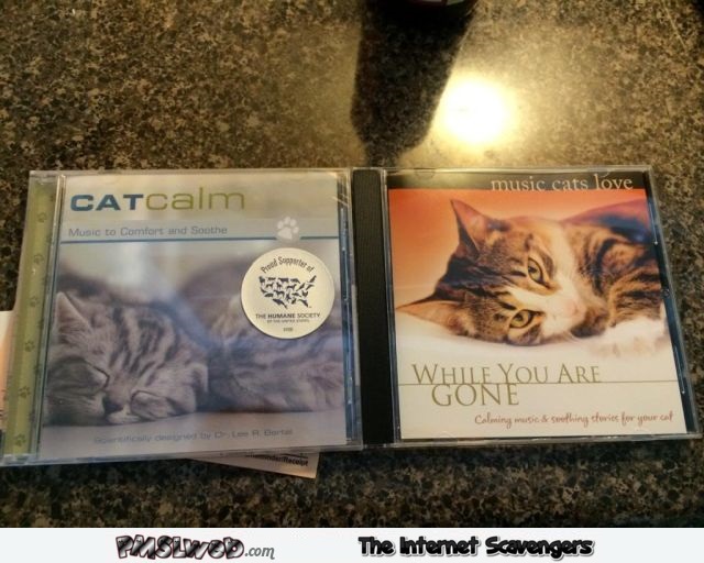Relaxing music for cats @PMSLweb.com