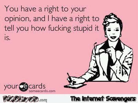 You have the right to your opinion sarcastic ecard @PMSLweb.com