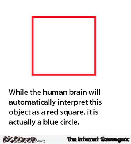Funny optical illusion joke @PMSLweb.com