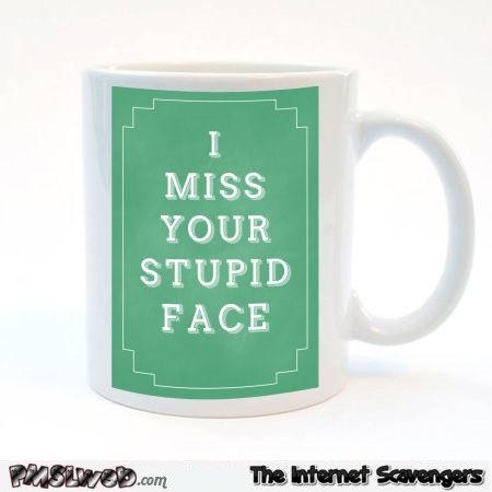 I miss your stupid face mug