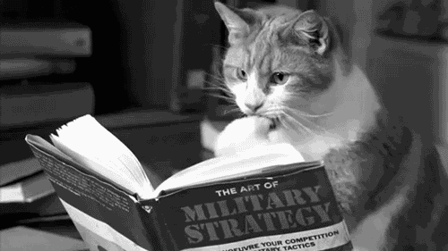 Funny cat military strategy animation @PMSLweb.com
