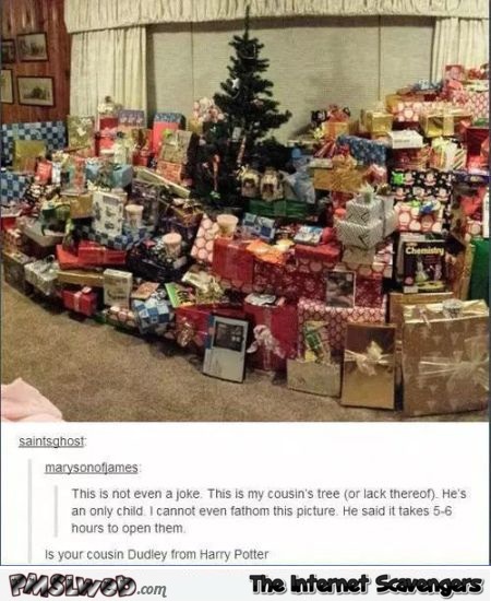 Is your cousin Dudley from Harry Potter – Funny Christmas pictures @PMSLweb.com