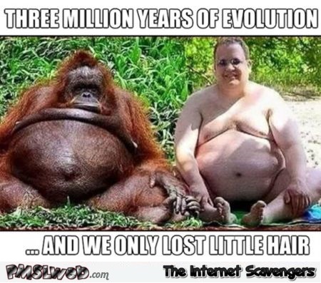 Funny evolution meme @PMSLweb.com
