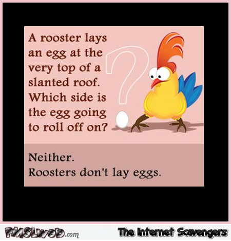A rooster lays an egg riddle