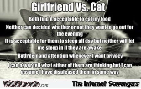 Girlfriend versus cat meme @PMSLweb.com