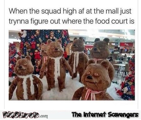 When the squad is high at the shopping mall humor @PMSLweb.com