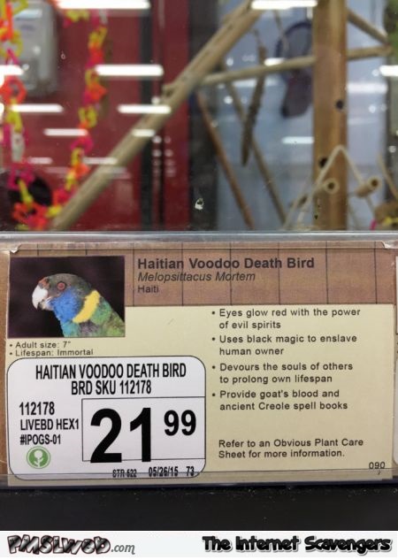 Funny pet store parrot description – Daily funnies @PMSLweb.com