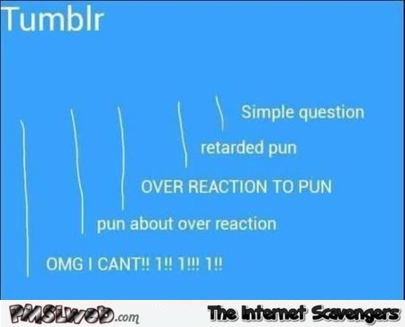 Funny Tumblr in a nutshell @PMSLweb.com