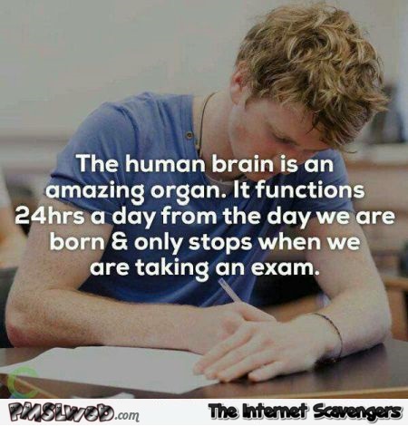 The human brain is an amazing organ funny quote