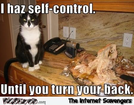 Funny cat has self control meme @PMSLweb.com