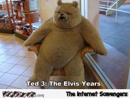 Ted 3 humor @PMSLweb.com