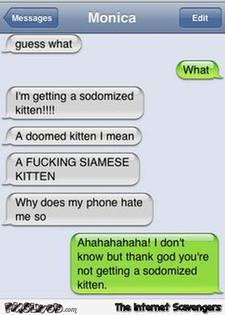 Funny Siamese kitten autocorrect fail – Funny text messages @PMSLweb.com