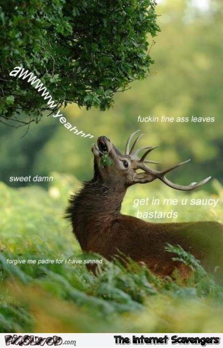 Deer has sinned humor @PMSLweb.com