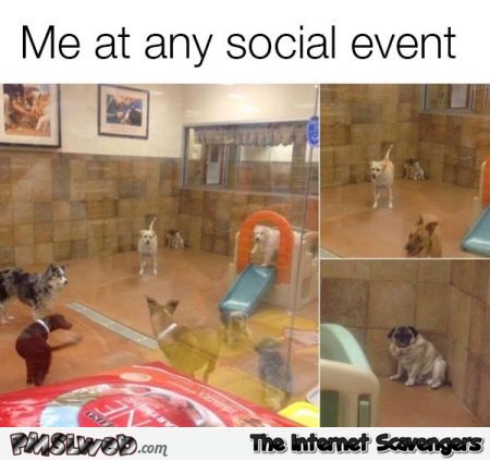 Me at any social event humor @PMSLweb.com