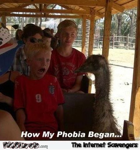 How my phobia begun humor @PMSLweb.com