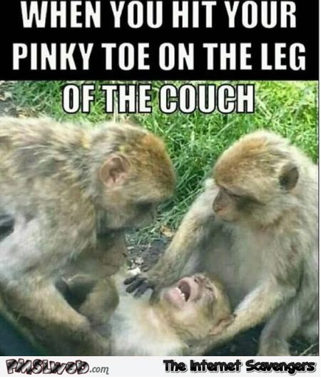 When you hit your pinky toe humor – Saturday funnies @PMSLweb.com