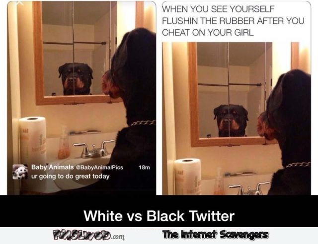 Funny black versus white twitter @PMSLweb.com