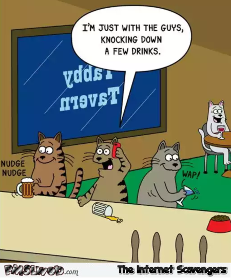Cat knocking down a few drinks funny cartoon @PMSLweb.com