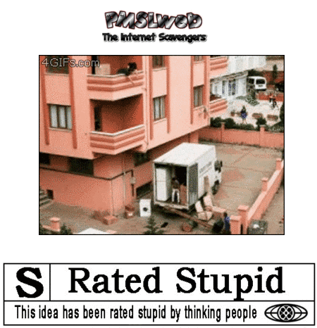 rated stupid gif @PMSLweb.com