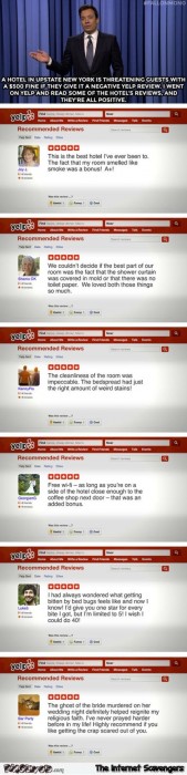 Hilarious hotel reviews